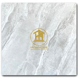 Gạch Takao 60x60cm TRT 6841