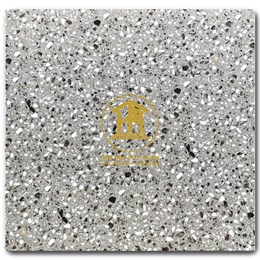 Gạch Takao 60x60cm GX 6811