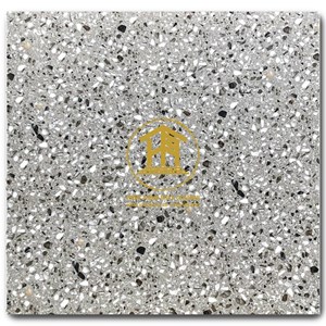 Gạch Takao 60x60cm GX 6811