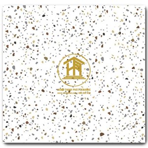 Gạch Takao 60x60cm GX 6813