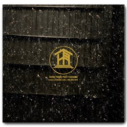 Gạch Takao 60x60cm KC 66007