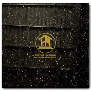 Gạch Takao 60x60cm KC 66007