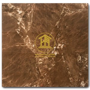 Gạch Takao 60x60cm PTK 68002