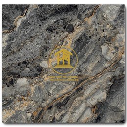 Gạch Takao 60x60cm PTK 68009