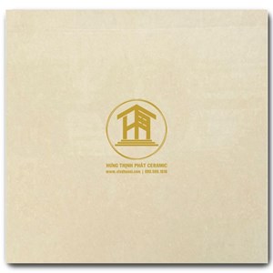 Gạch Takao 60x60cm TK 16001