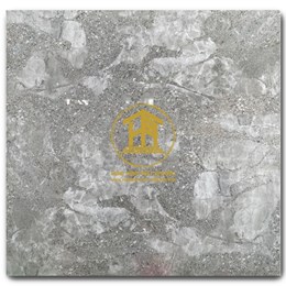 Gạch Takao 60x60cm TK 16102