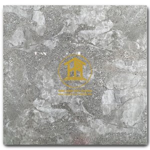 Gạch Takao 60x60cm TK 16102