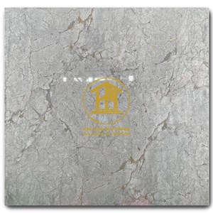 Gạch Takao 60x60cm TK 16112