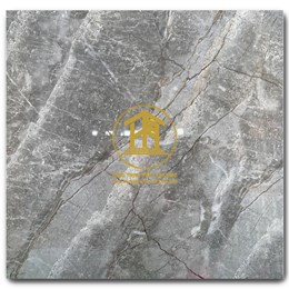 Gạch Takao 60x60cm TK 16115