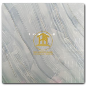 Gạch Takao 60x60cm TK 16119