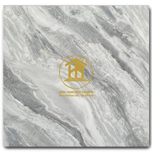 Gạch Takao 60x60cm TK 16173