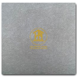 Gạch Takao 60x60cm TK 16303