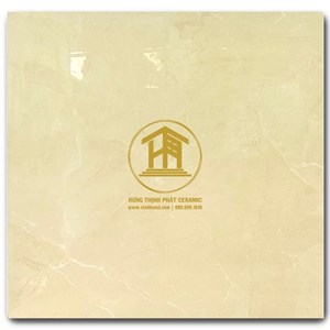 Gạch Takao 60x60cm TK 16909