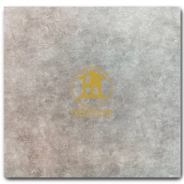 Gạch Takao 60x60cm VM 66002