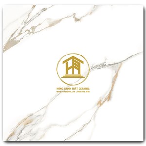 Gạch Takao 60x60cm VN 66037