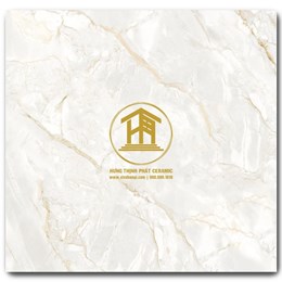 Gạch Takao 60x60cm VN 66038