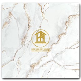 Gạch Takao 60x60cm VN 66042