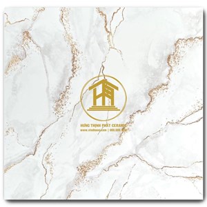 Gạch Takao 60x60cm VN 66042