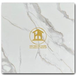 Gạch Takao 60x60cm VN 66044