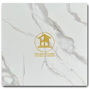 Gạch Takao 60x60cm VN 66044