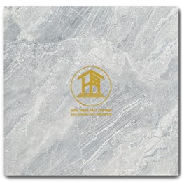 Gạch Takao 80x80cm TK 58110