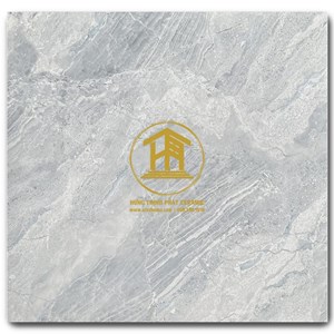 Gạch Takao 80x80cm TK 58110