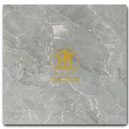 Gạch Takao 80x80cm TK16907