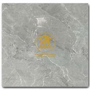 Gạch Takao 80x80cm TK16907