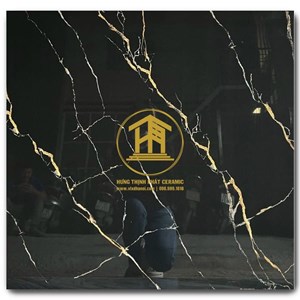 Gạch Takao 80x80cm TK18303