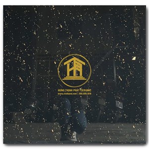 Gạch Takao 80x80cm TK18304