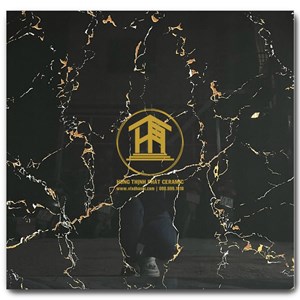 Gạch Takao 80x80cm TK18305