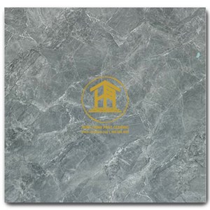 Gạch Takao 80x80cm TK58003