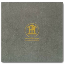 Gạch Takao 80x80cm TK58261