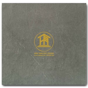 Gạch Takao 80x80cm TK58261