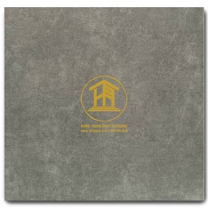 Gạch Takao 80x80cm TK58262