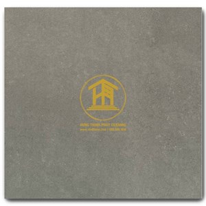 Gạch Takao 80x80cm TK58263