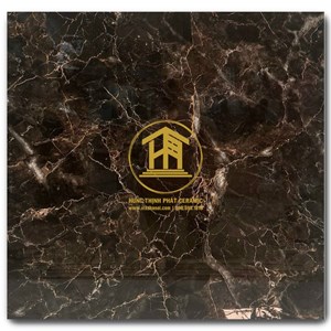 Gạch Takao 80x80cm TK58361