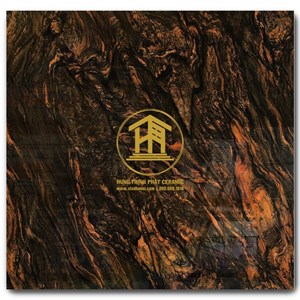 Gạch Takao 80x80cm KC 89009