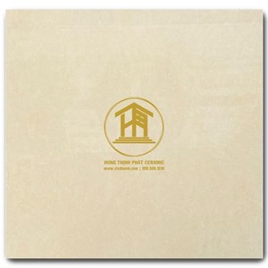 Gạch Takao 80x80cm TK 16001