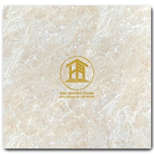 Gạch Takao 80x80cm TK 18101