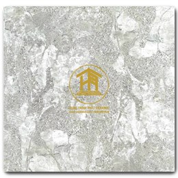 Gạch Takao 80x80cm TK 18102