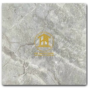 Gạch Takao 80x80cm TK 18115