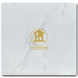 Gạch Takao 80x80cm TK 58109