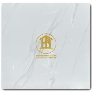 Gạch Takao 80x80cm TK 58109