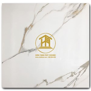 Gạch Takao 80x80cm VN 88011