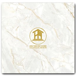 Gạch Takao 80x80cm VN 88015