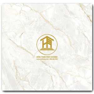 Gạch Takao 80x80cm VN 88015