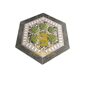 Gạch Takao Bát Giác TK 1663