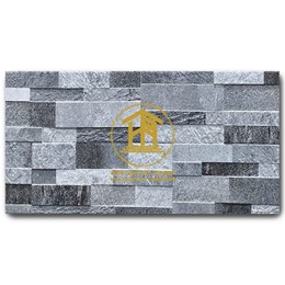 Gạch Takao Thẻ 20x40cm MC 24003