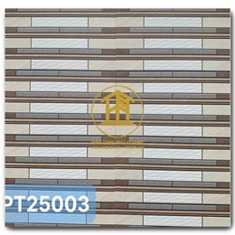 Gạch Takao Thẻ 25x50cm PT 25003